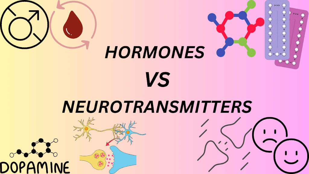 HORMONES 20VS 20NEUROTRANSMITTERS min