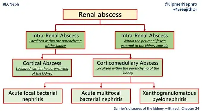 kidney abscess