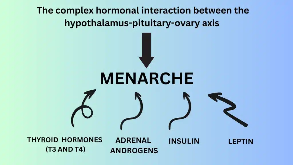 factors contribute in menarche